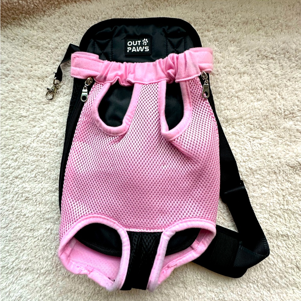 Out Paws Pet wearing harness